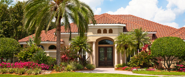 Images Omega Insurance Agency Tampa 