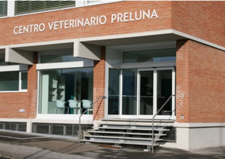 Bilder Centro Veterinario Preluna
