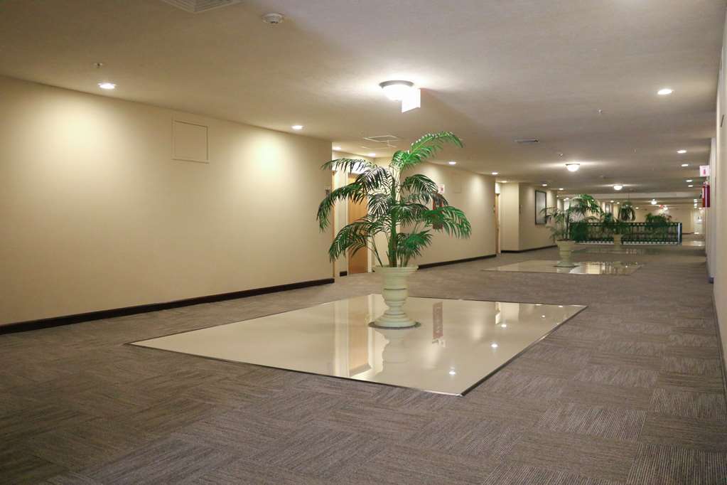 Images Hampton Inn by Hilton Tampico Zona Dorada