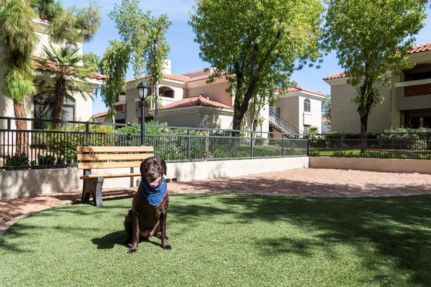Images Camden San Paloma Apartments