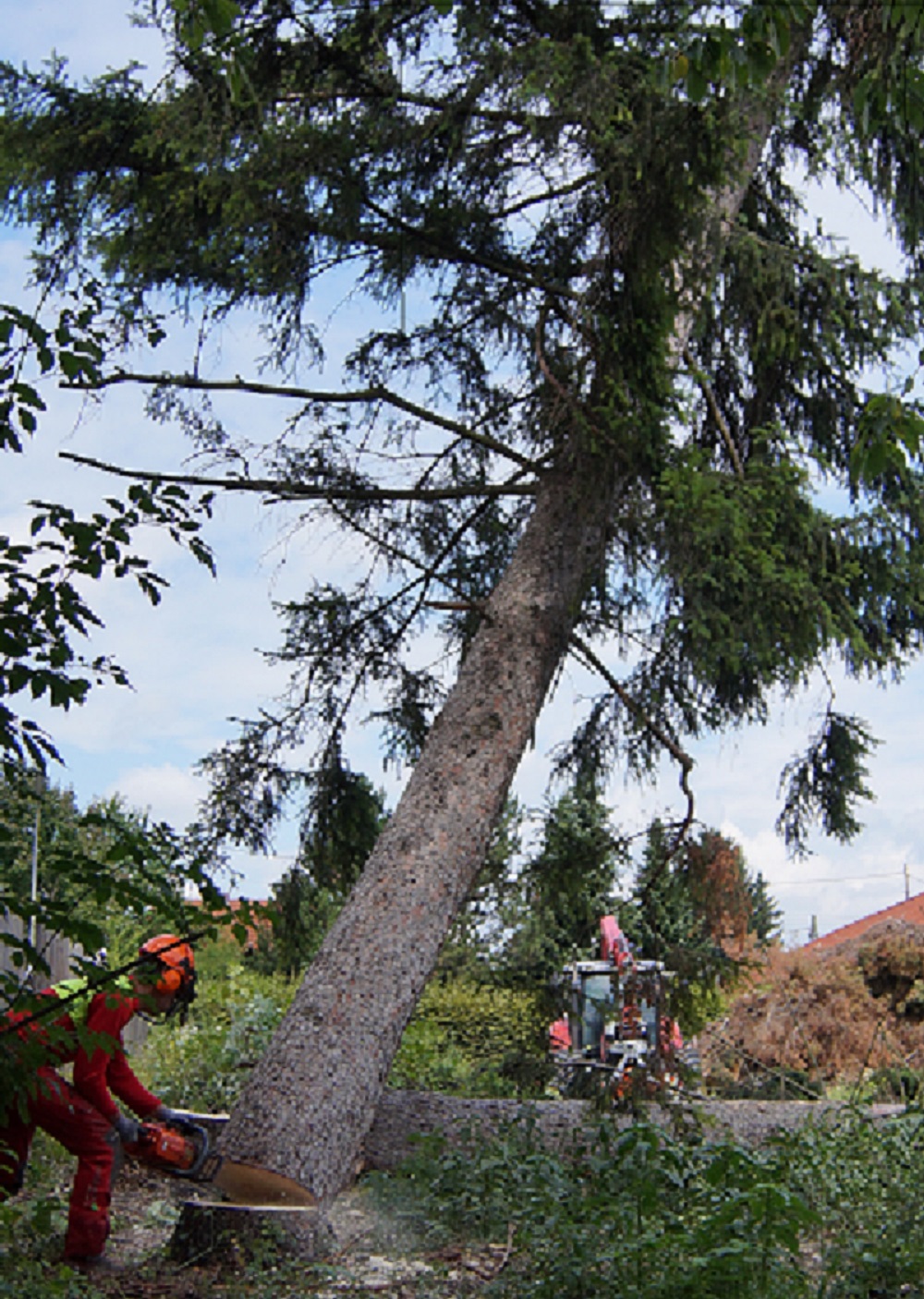 Baumwerk e.U., Hötzelsdorf 10 in Vorchdorf