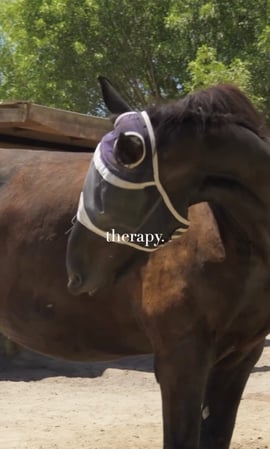 Images Found Recovery | Mental Health, Addiction & Wellness Center in Agoura Hills (Detox/PHP/IOP)