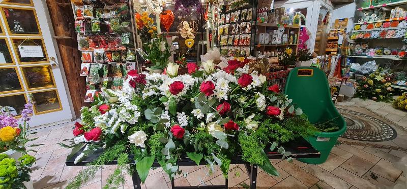 Images Agraria Hobby Verde