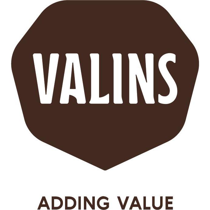 Logo Valins GmbH