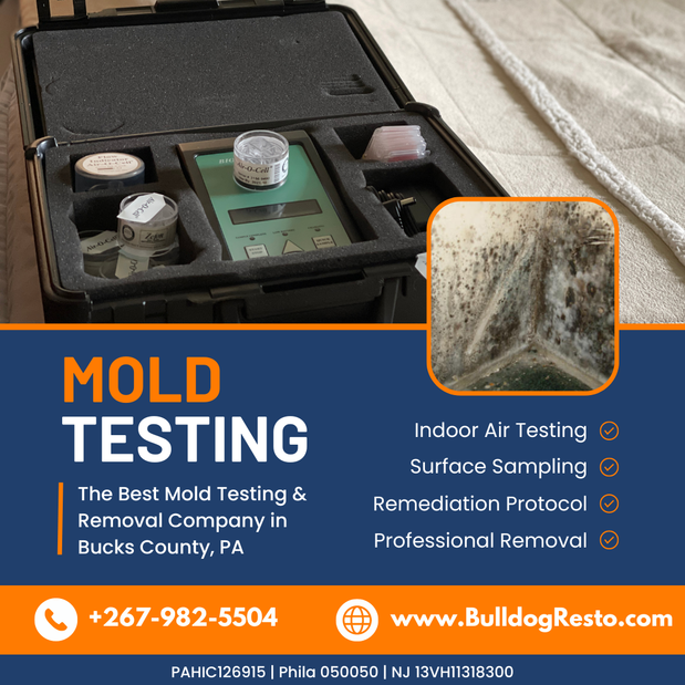 Images Bulldog Cleaning & Restoration