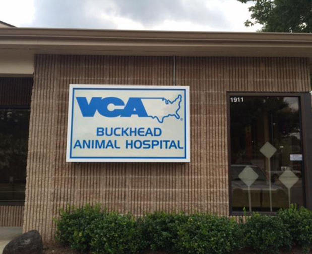 Images VCA Buckhead Animal Hospital