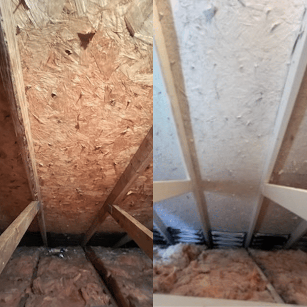 Images Quality Mold Remediation LLC