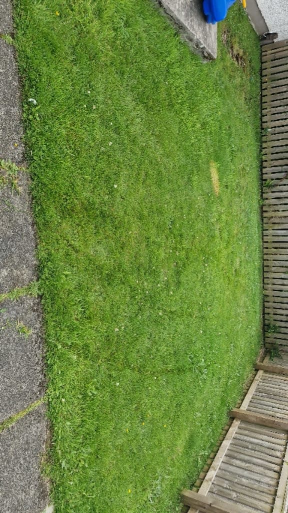 Images Green Acres