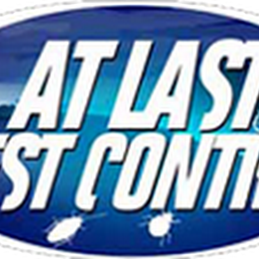 24 Hours Exterminator Bronx | At Last Pest Control