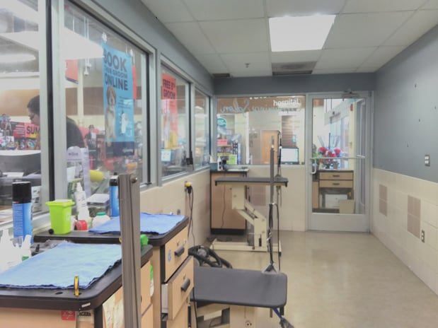 Images Petco Grooming