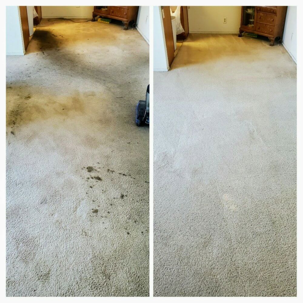 Before and after carpet cleaning in Torrance