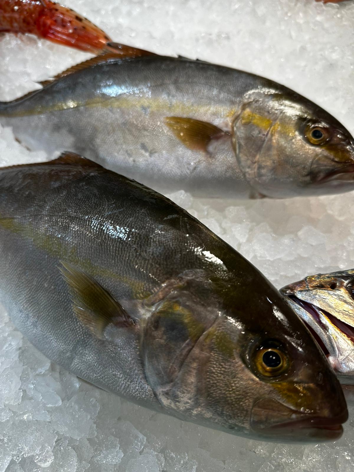 Images Peixateria de la Iaia Antònia