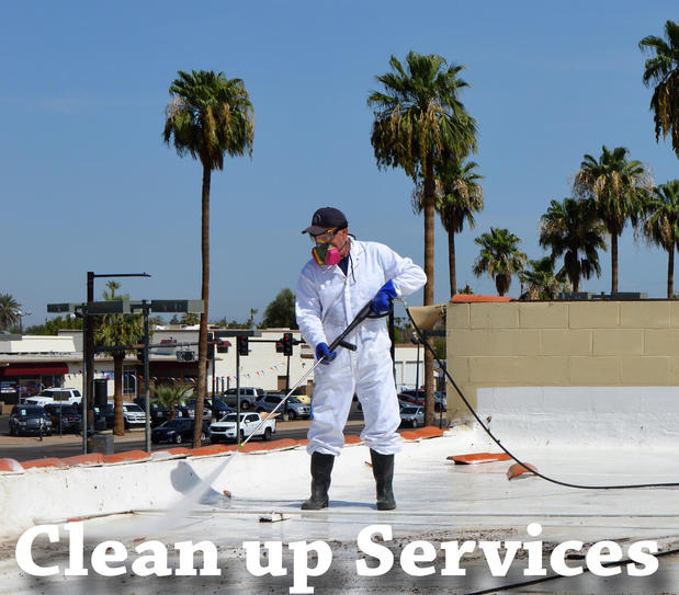 Images Pigeon Control Phoenix