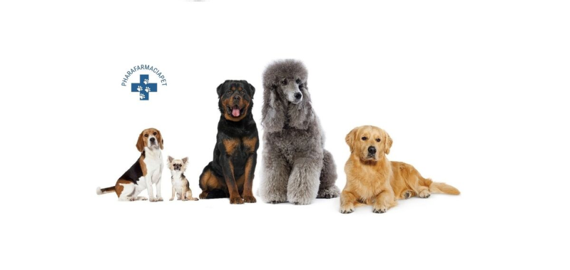 Images Parafarmaciapet