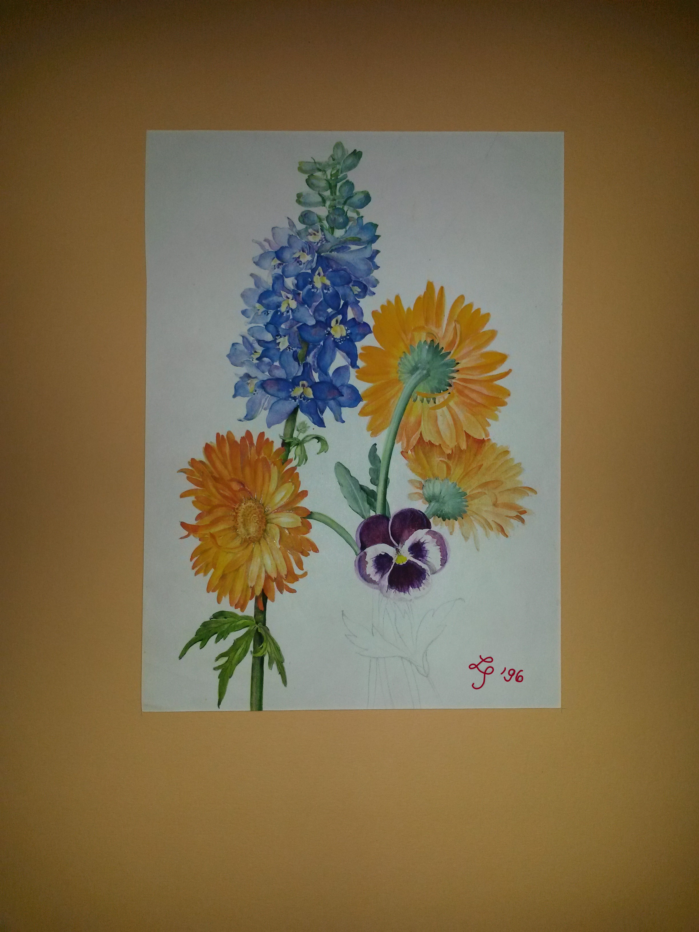 Lätitia Sundermann, Striesener Str. 2 in Dresden