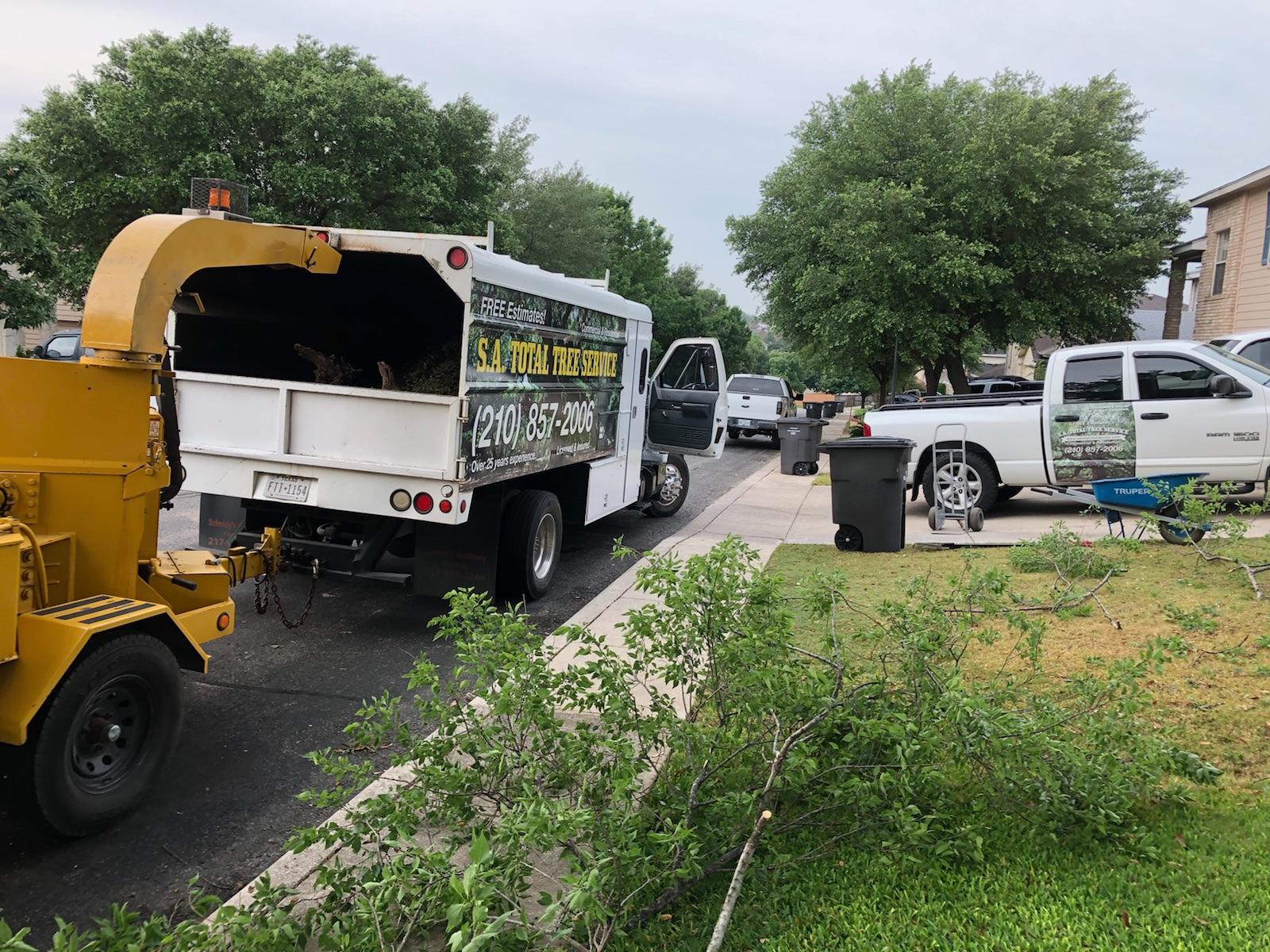 SA Total Tree Service Photo