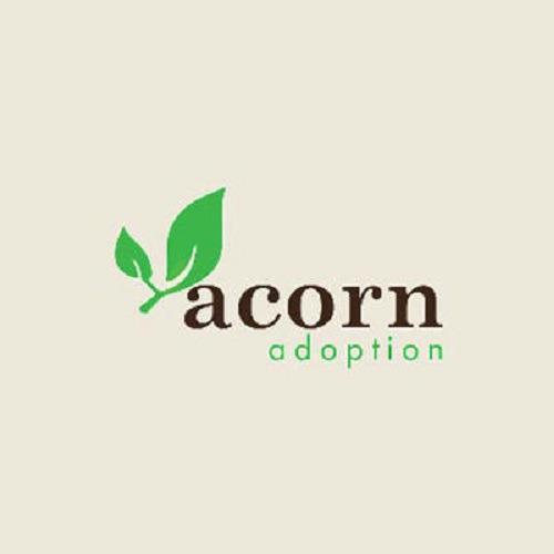 Acorn Adoption Logo