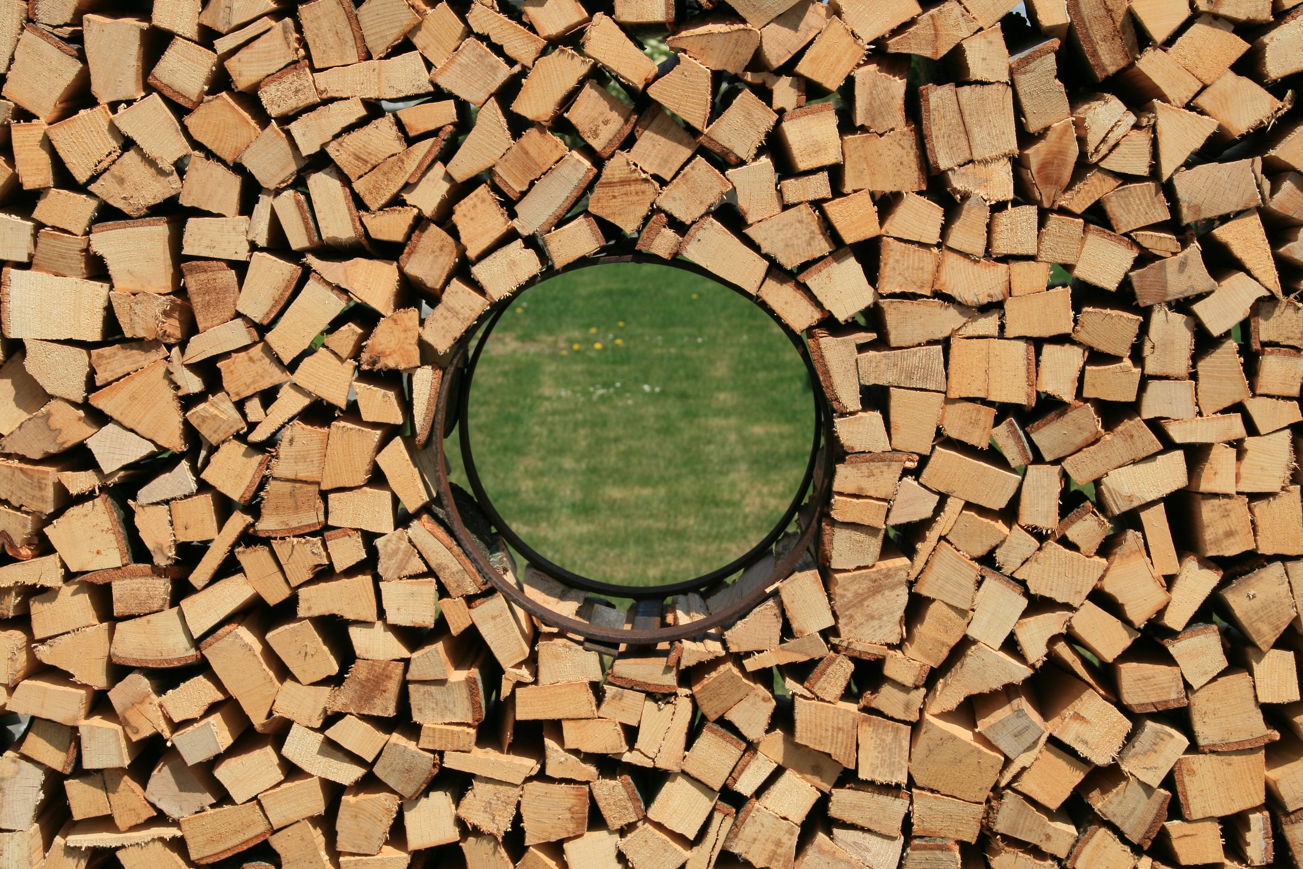 Bilder Holzenergie Schweiz