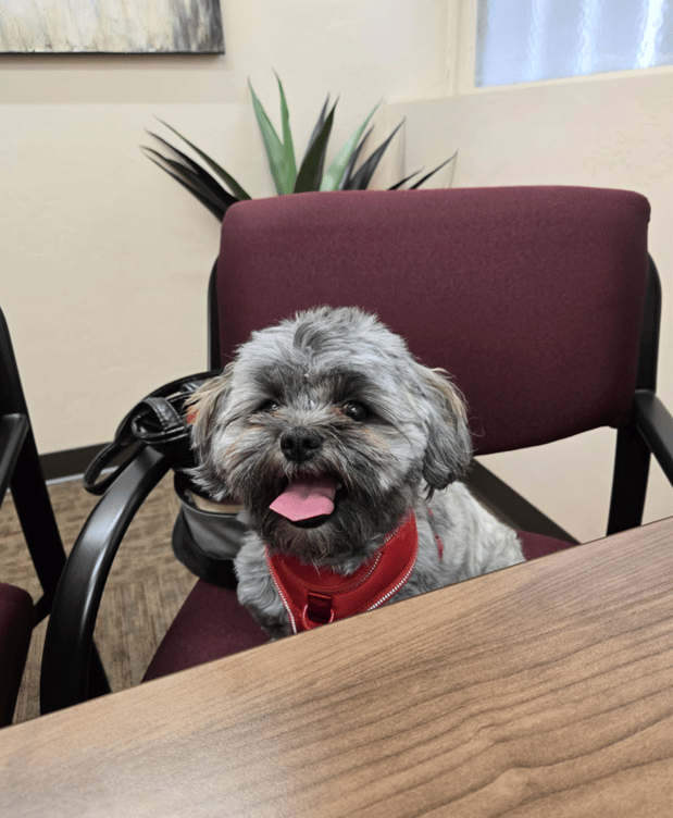 Images Tom DeBerry - State Farm Insurance Agent