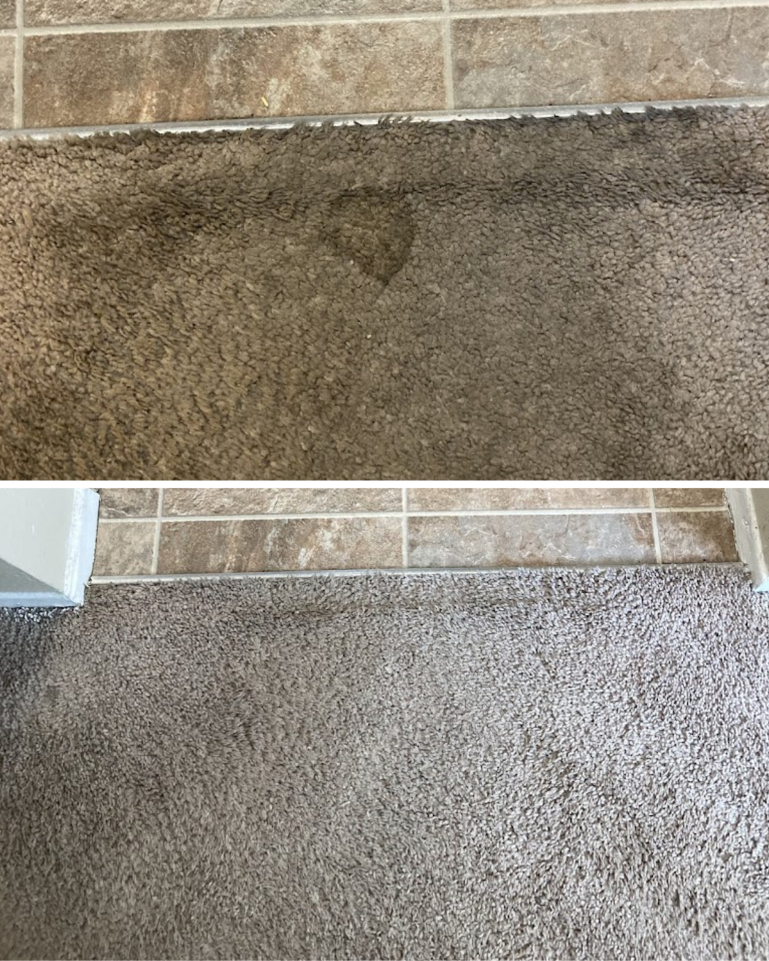 carpet cleaning snohomish wa Chem-Dry of Seattle Seattle (206)783-1003