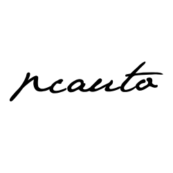 NC Auto Automotive Styling