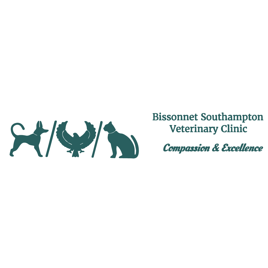 Bissonnet Southampton Vet Clinic Logo