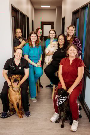 Images PetVet365 Pet Hospital Indianapolis / Eagle Creek