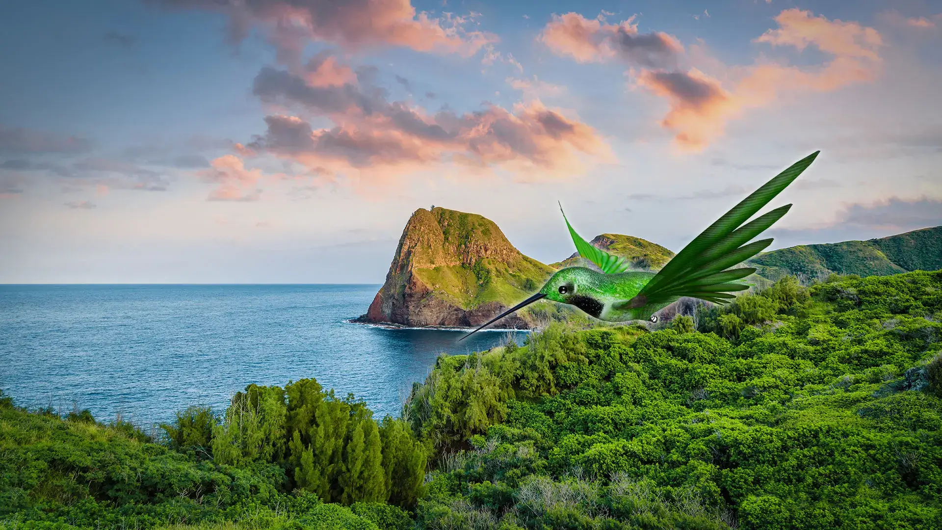 Bilder frey-sein - Die Agentur für Kommunikation