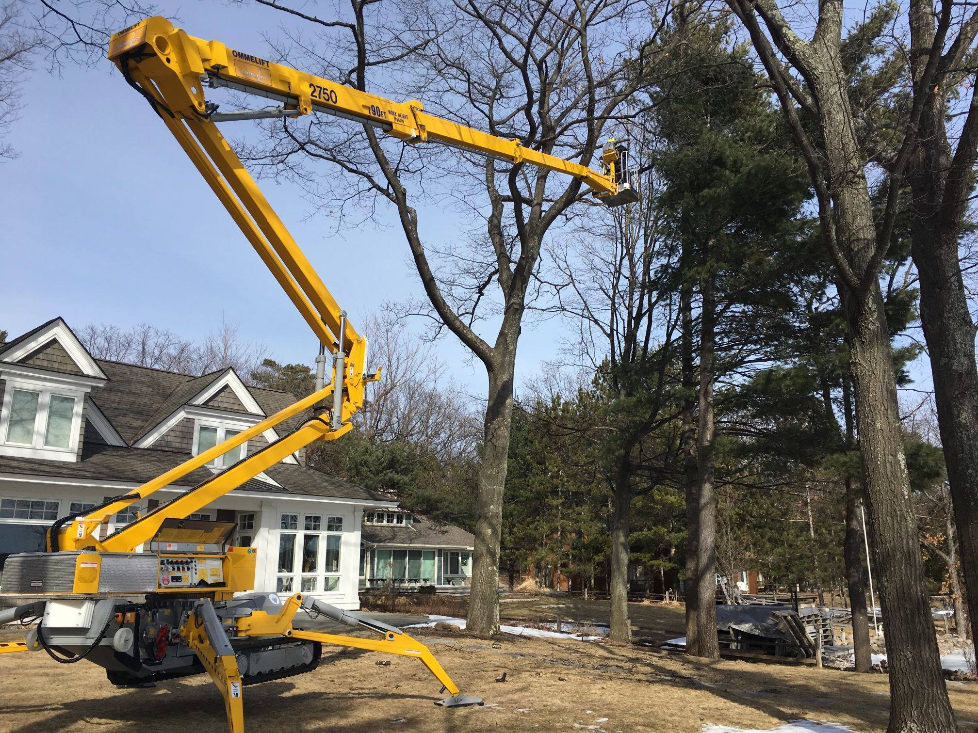 Deering Tree Service Image