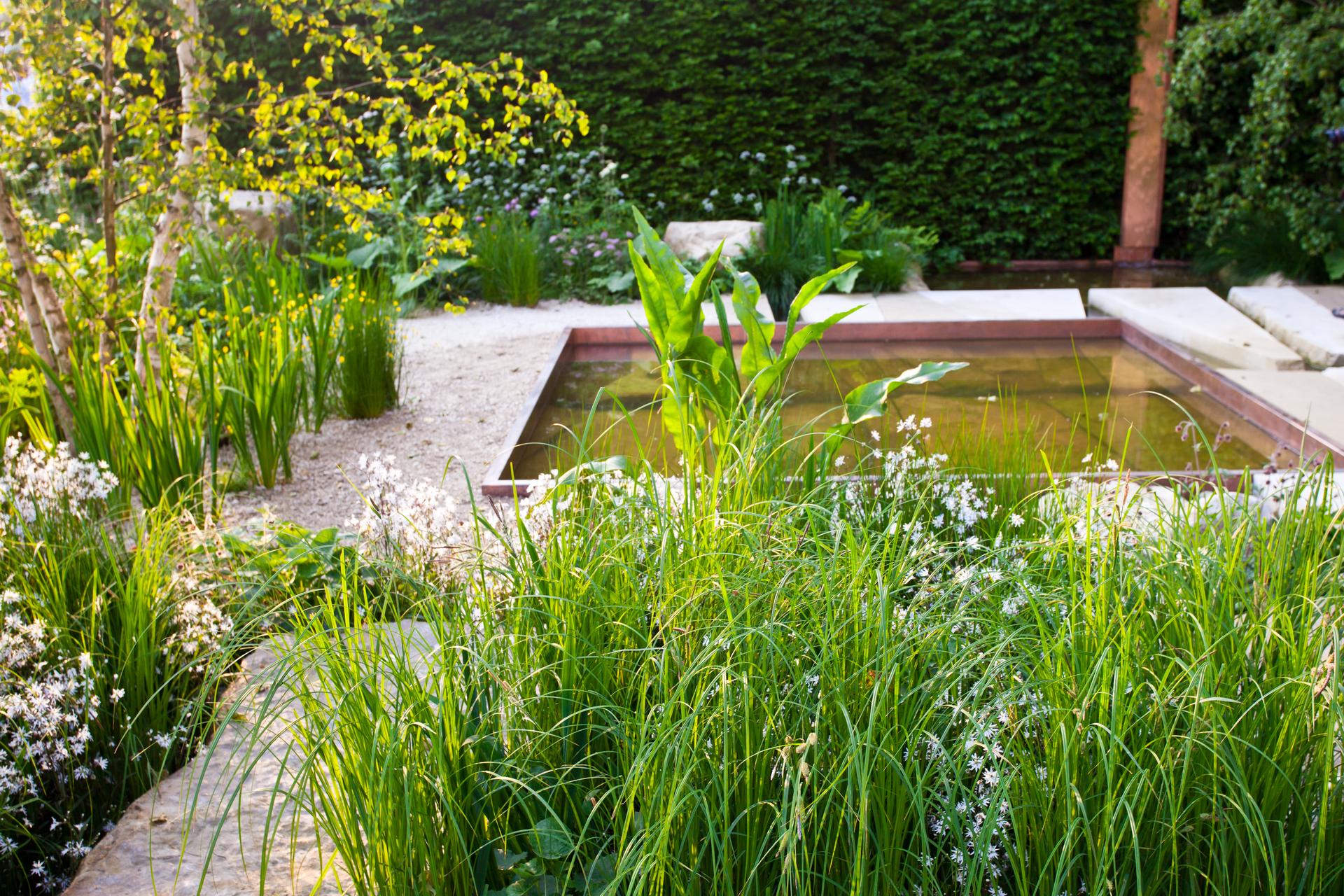 Bild 1 von Grasberger Gartengestaltung - Nur Garten im Kopf