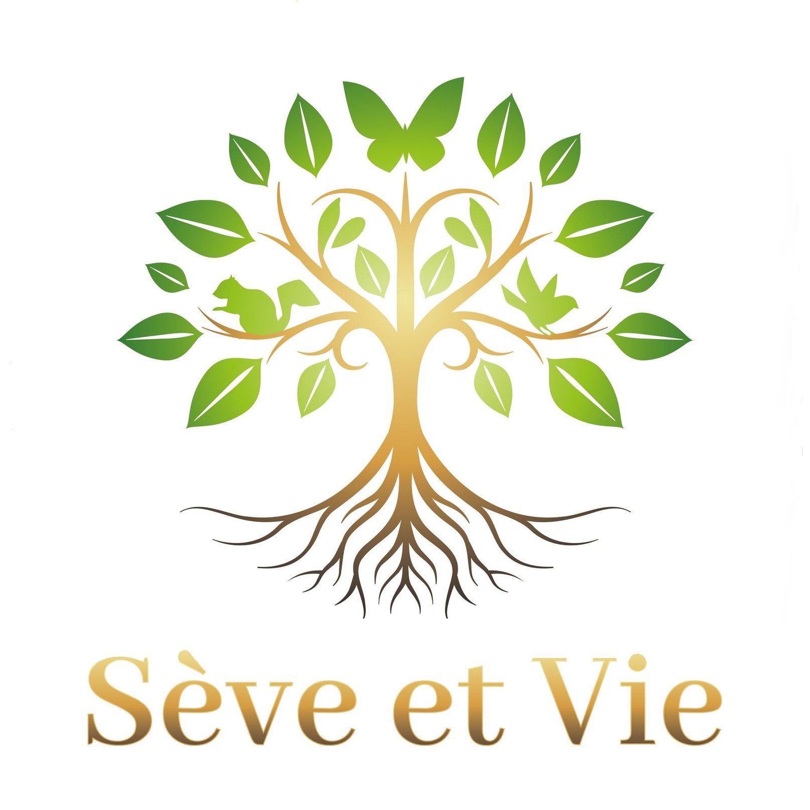 Sève et Vie Sàrl Logo