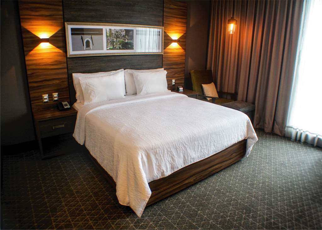 Images Hilton Garden Inn Aguascalientes