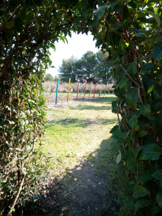 Images Agriturismo su Stai Podere Valbella