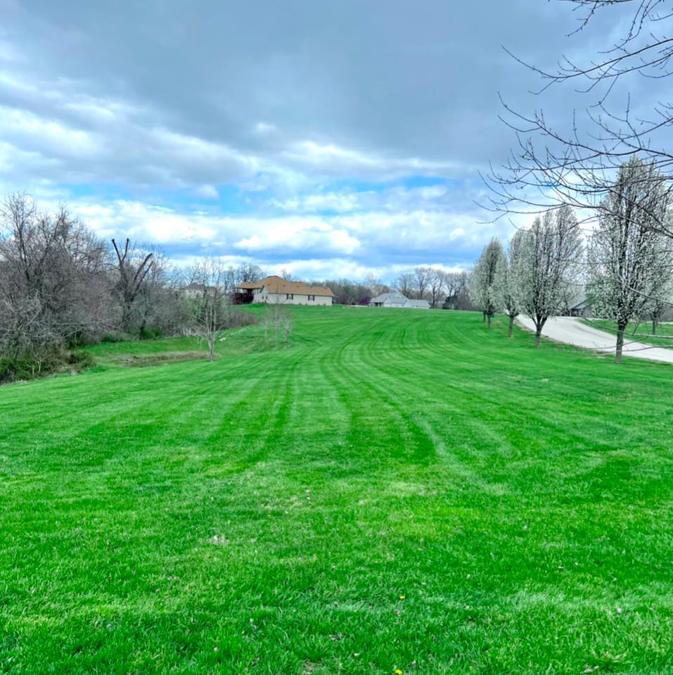 Modern Lawn and Property Solutions Image