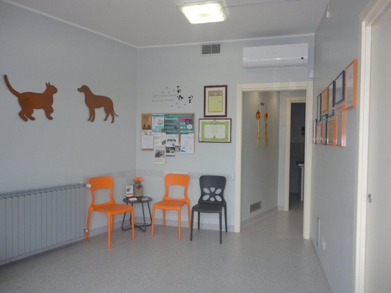 Images Ambulatorio Veterinario La Fenice