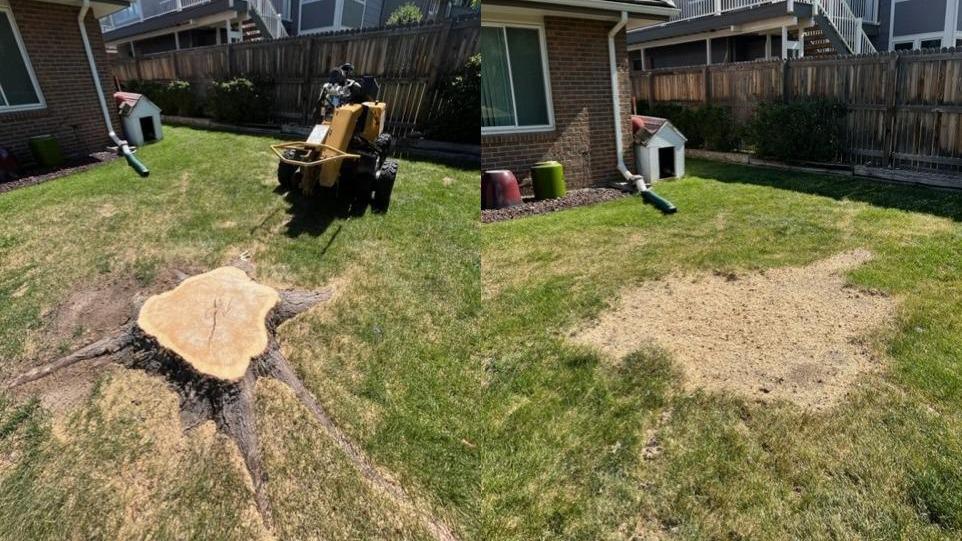 When you're in search of "stump removal near me," Alpine Stump is your local solution. Our convenient location ensures that we're just a call away, ready to provide prompt and reliable stump removal services for homeowners and businesses in our community.