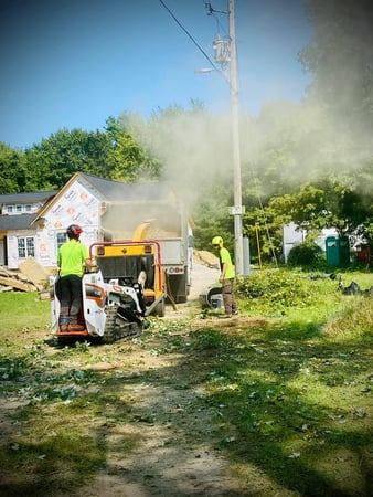 Images Sunbury Tree Care