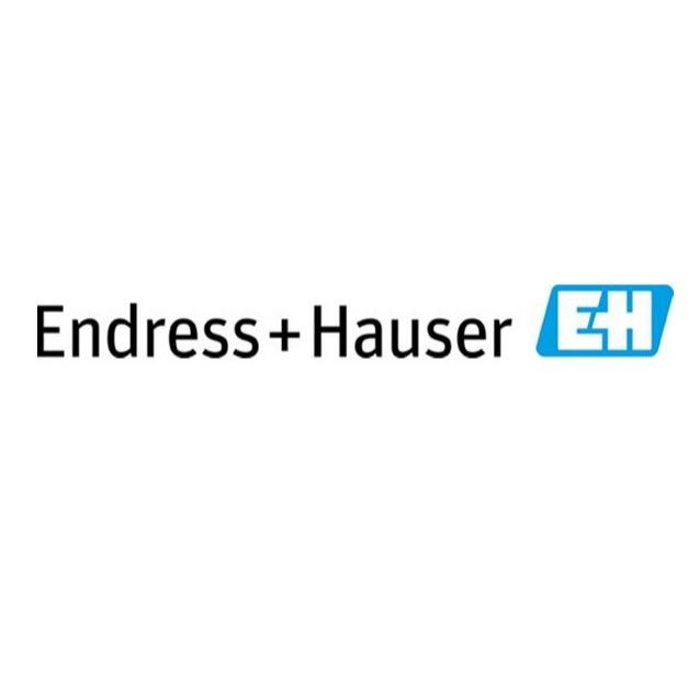 Endress+Hauser Oy Logo