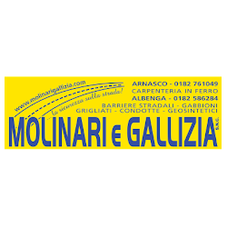 Molinari & Gallizia Logo