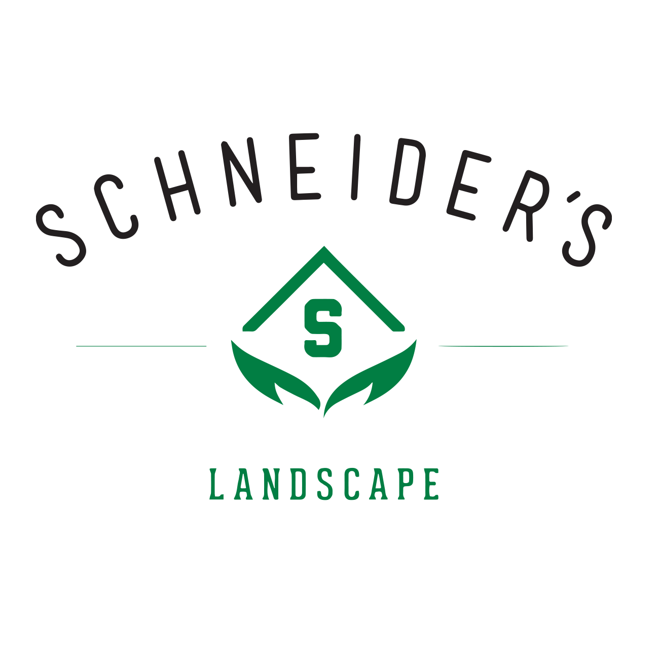 Schneider's Landscape
