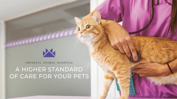 Images Imperial Animal Hospital