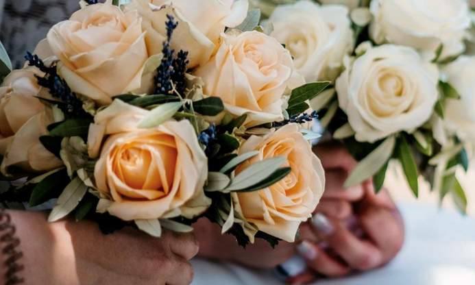 Bilder Lägere Blueme GmbH