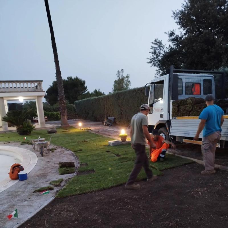 Images Il Punto Verde