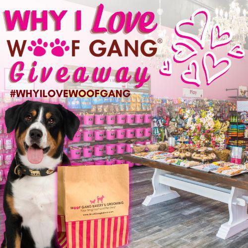 Image 6 | Woof Gang Bakery & Grooming Suwanee