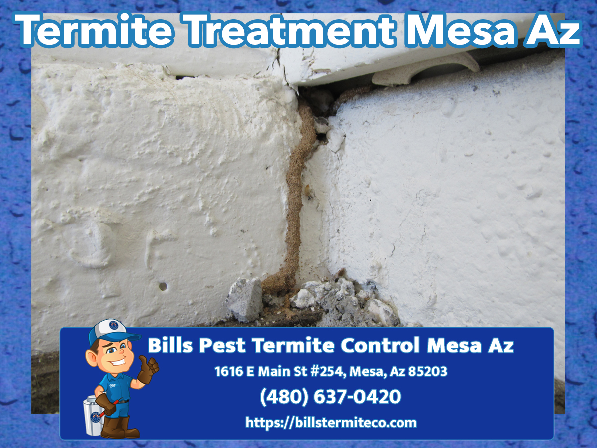 Bills Pest Termite Control Mesa Az Image