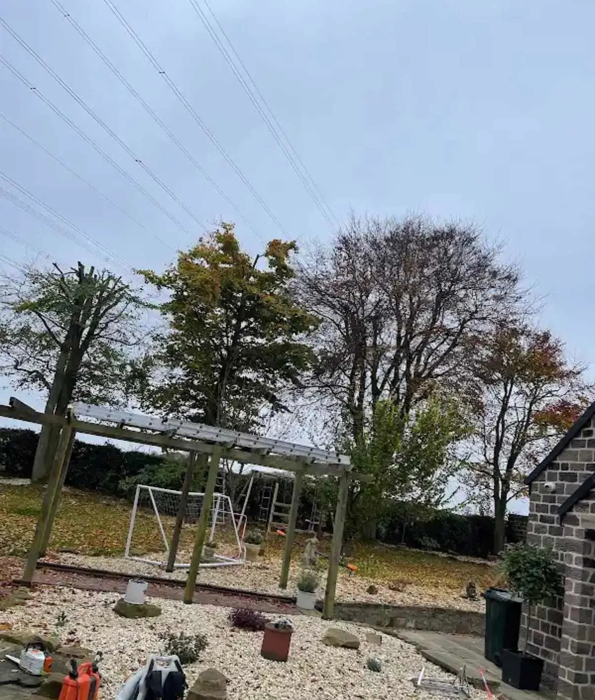 Images Tree Doctors & Landscaping