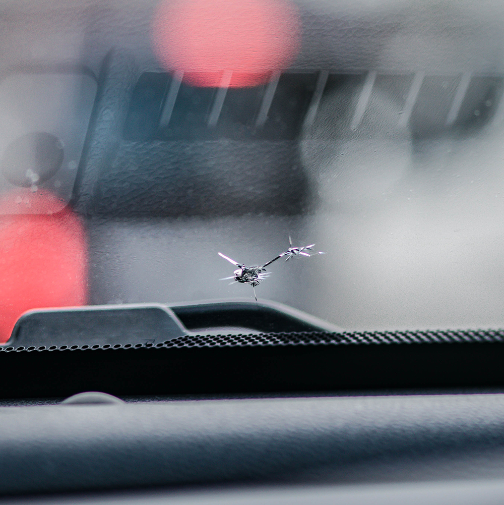 Windshield Damage: Next Steps
