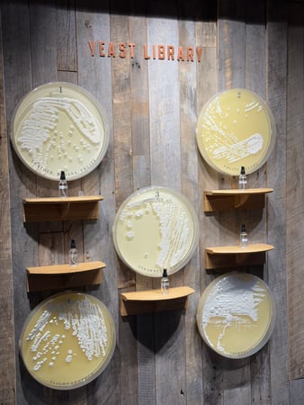 Images Sip Kentucky Bourbon Tours