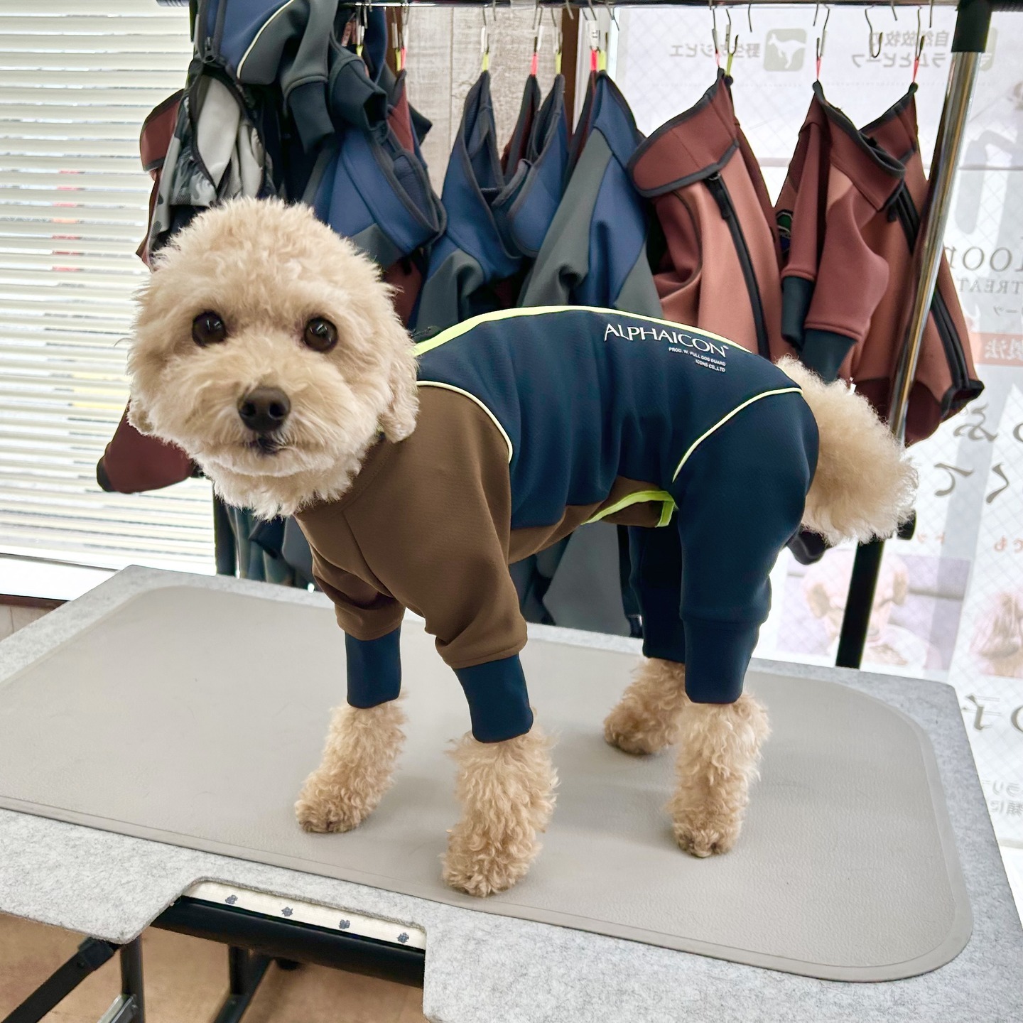 Images たまとポチ 宇津木店