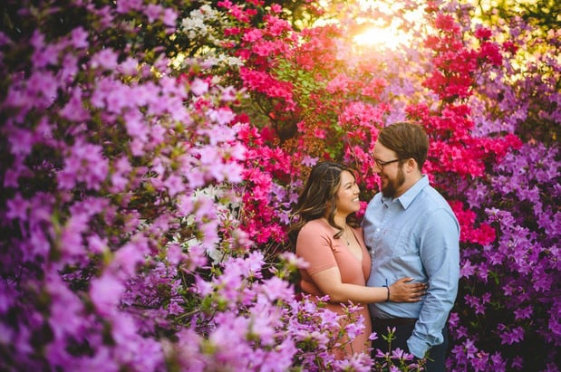 Images Martin Reardon Photography